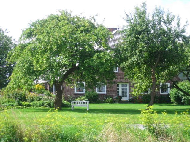 Hof_Feld.jpg
