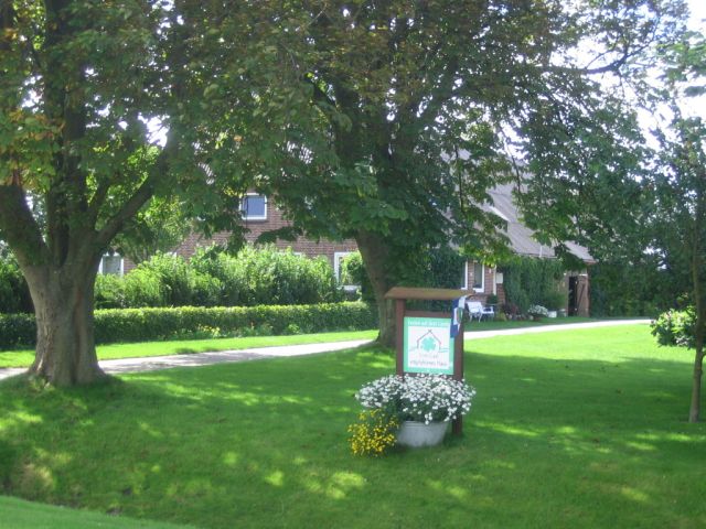 Hof_Kastanie.jpg