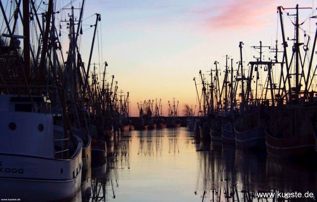 hafen_abend2.jpg