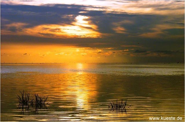 wasser_und_sonne.jpg